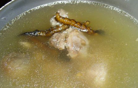 虫草炖野鸭
