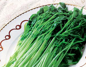 拌豌豆苗