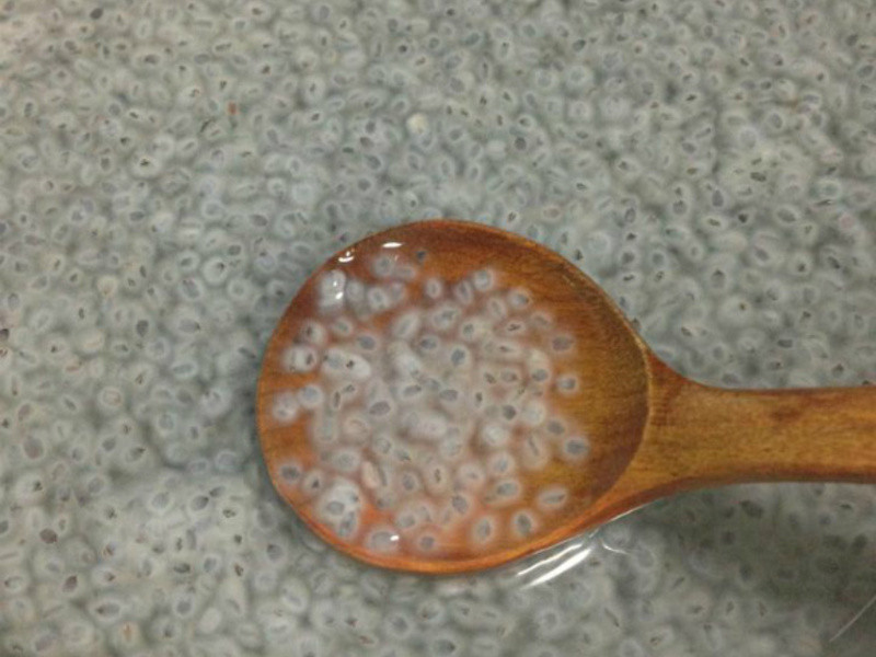 Q感山粉圆