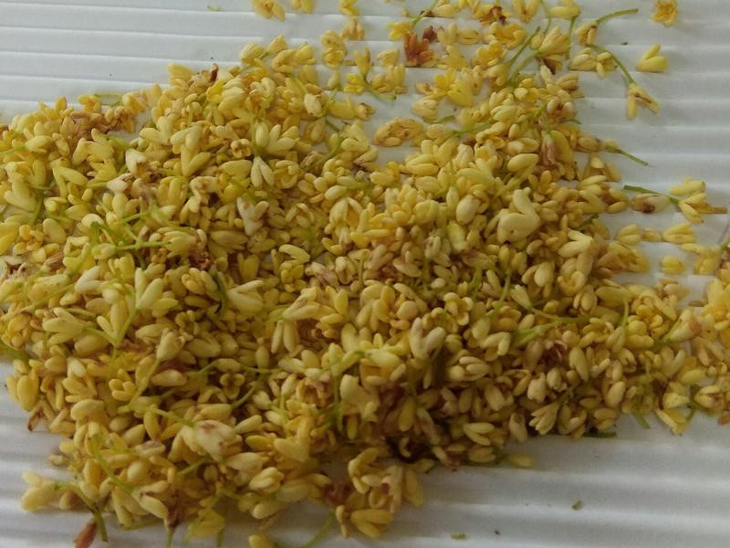 桂花酿