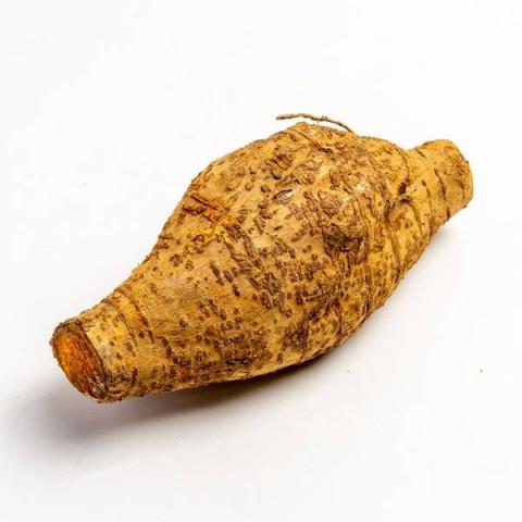 葛的热量