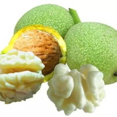 核桃(鲜)的热量