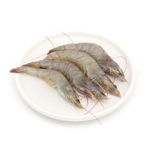 虾的热量