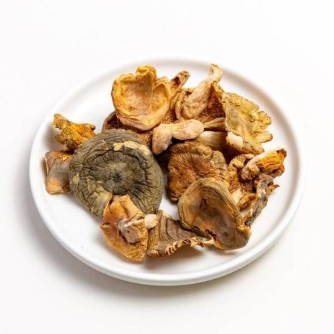 青头菌的热量