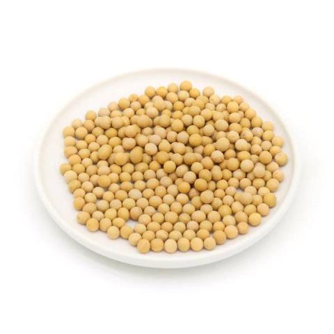 黄豆的热量