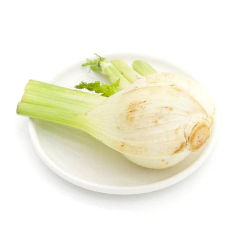 球茎茴香的热量