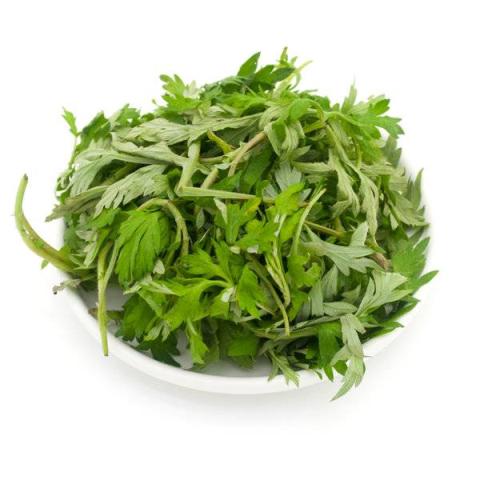 艾蒿的热量