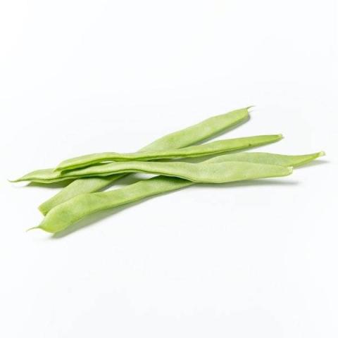 芸豆(鲜)的热量