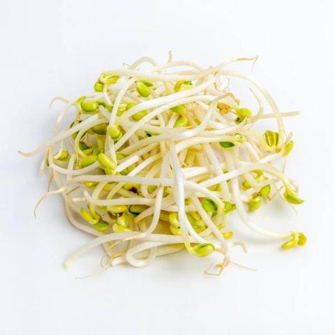 发芽豆的热量