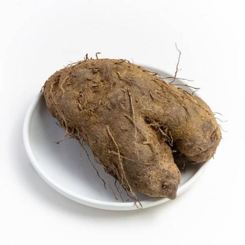 大薯的热量