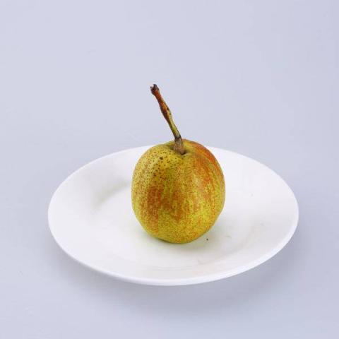 长把梨的热量