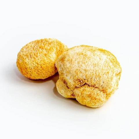 猴头菇的热量
