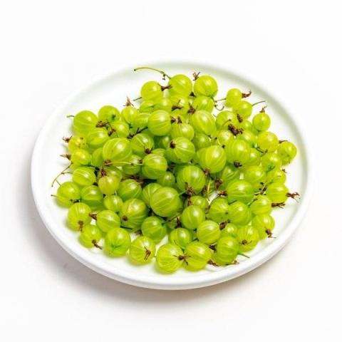 醋栗