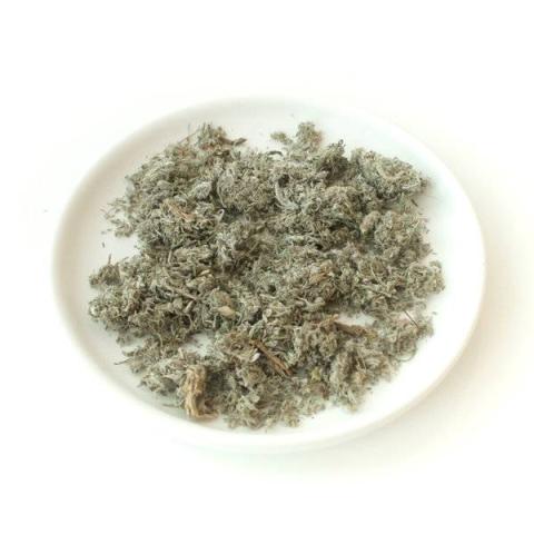茵陈蒿