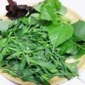 扁蓄菜的热量