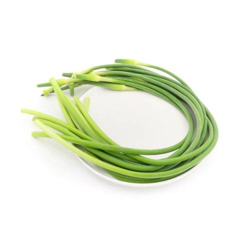 蒜苔的热量