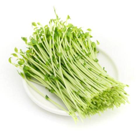 豌豆苗的热量