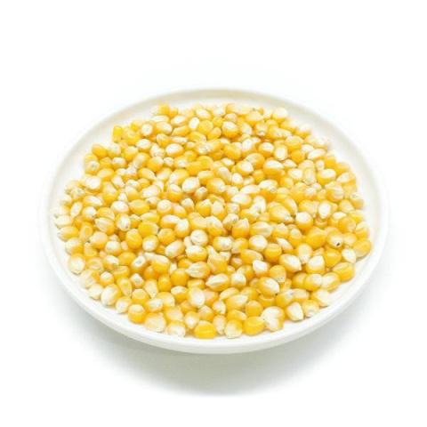 玉米粒(黄、干)的热量