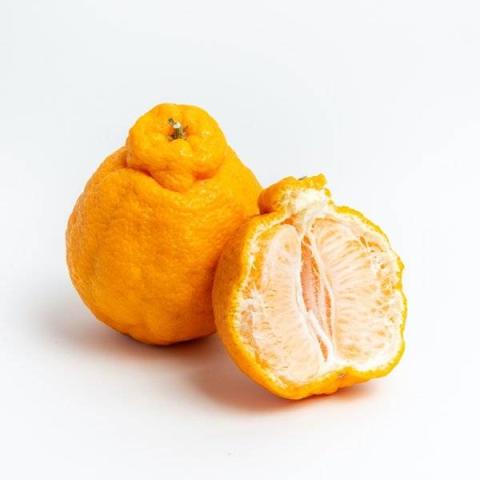 丑柑的热量