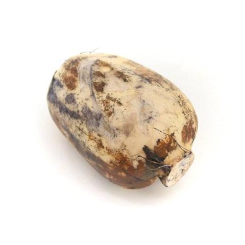 莲藕的热量