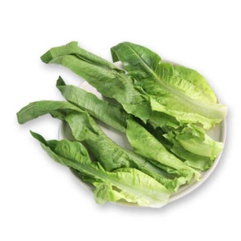油麦菜的热量