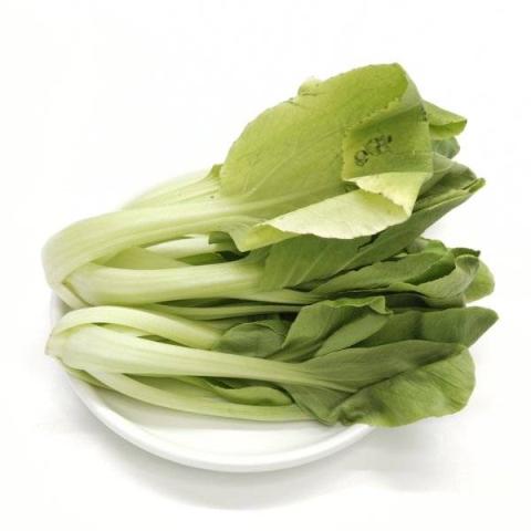 油菜的热量
