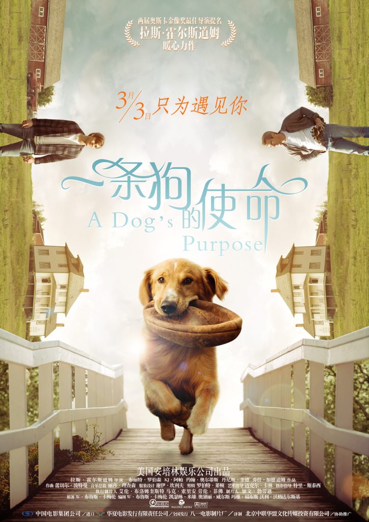 一条狗的使命 A Dog’s Purpose (2017) 电影资源下载
