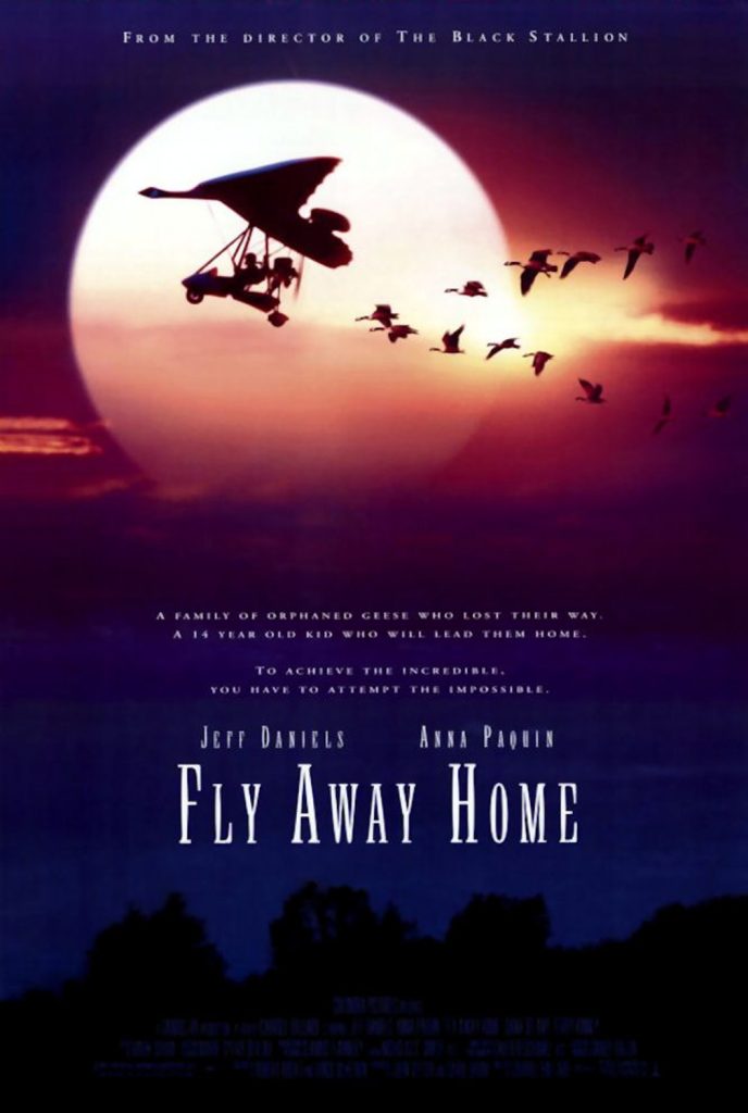 伴你高飞 Fly Away Home (1996) 电影资源下载