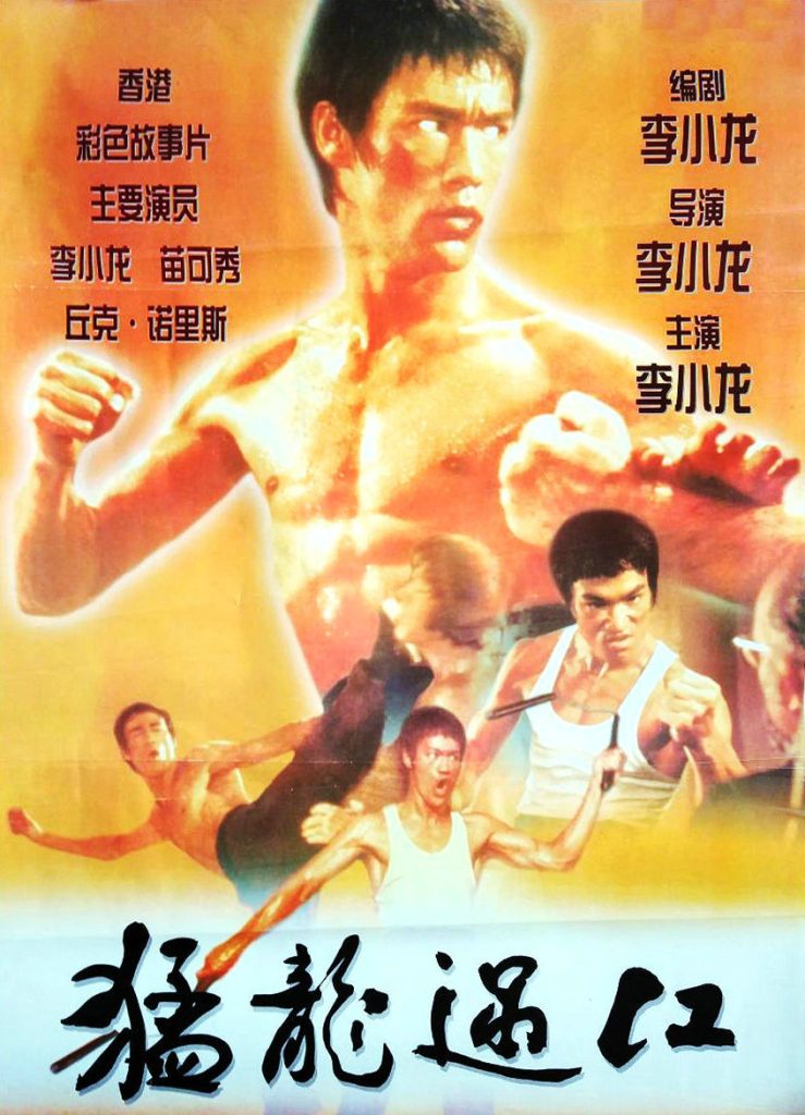 猛龙过江 猛龍過江 (1972) 电影资源下载