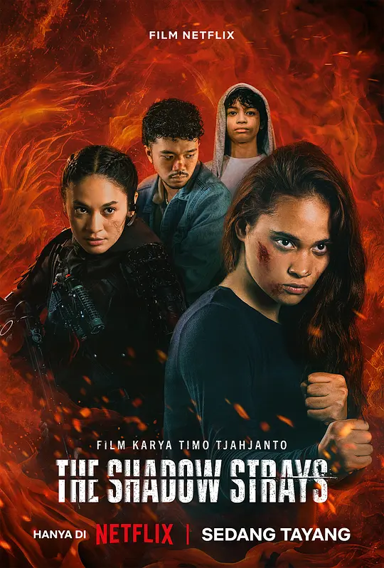 叛影浪客 The Shadow Strays (2024) 电影百度网盘资源高清下载