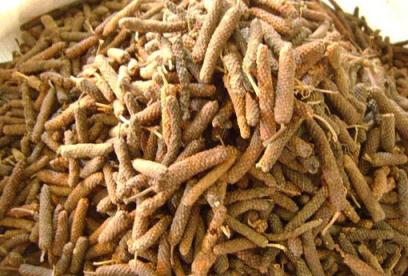 荜茇的功效与作用