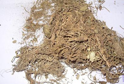 缬草的功效与作用