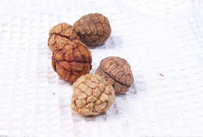 草豆蔻的功效与作用