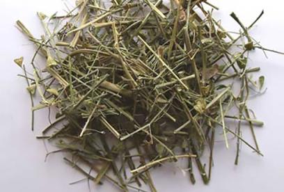 荠菜的功效与作用