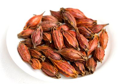 栀子的功效与作用
