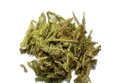 伸筋草的功效与作用