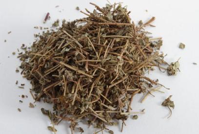 地锦草的功效与作用