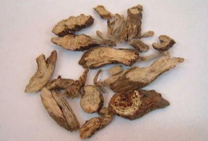 白头翁的功效与作用