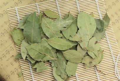 香叶的功效与作用