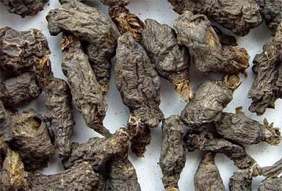 天葵子的功效与作用