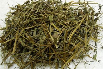 半枝莲的功效与作用