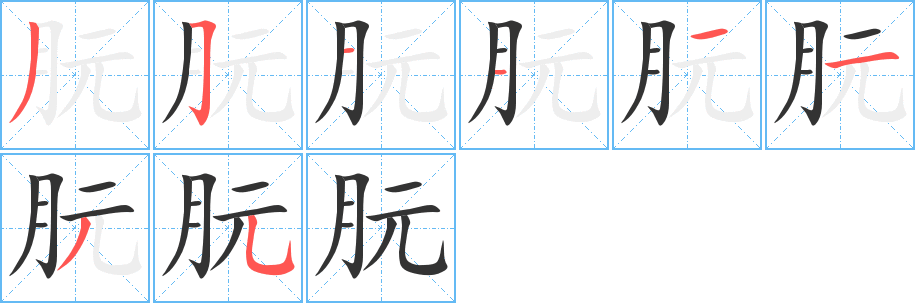 朊字的笔顺分步演示