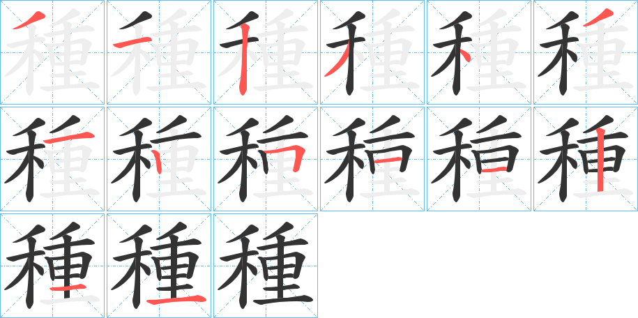 種字的笔顺分步演示