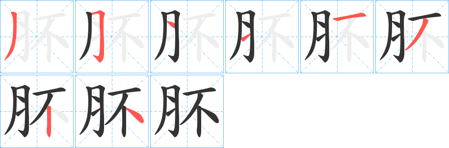 肧字的笔顺分步演示
