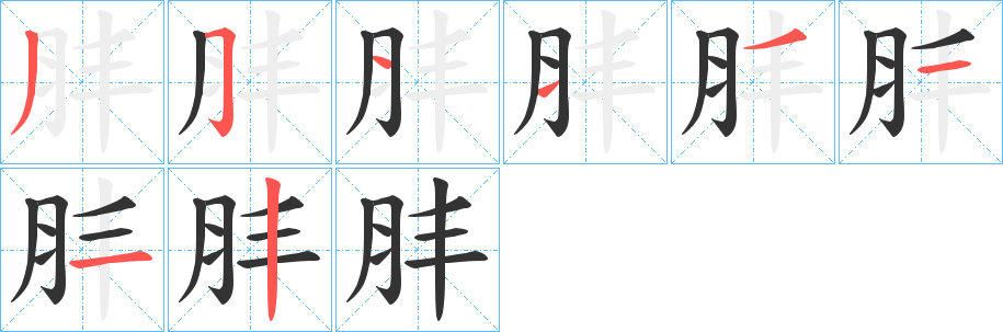肨字的笔顺分步演示