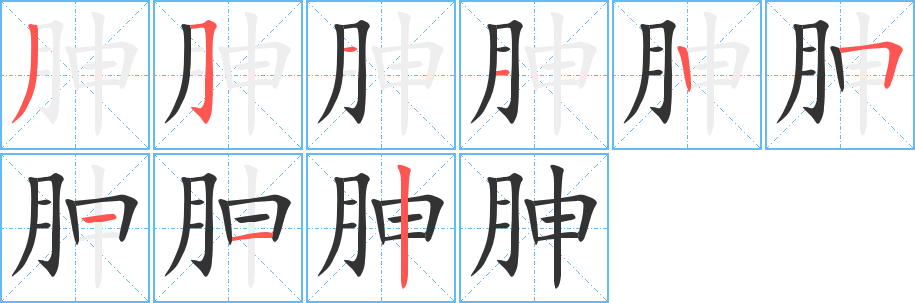 胂字的笔顺分步演示