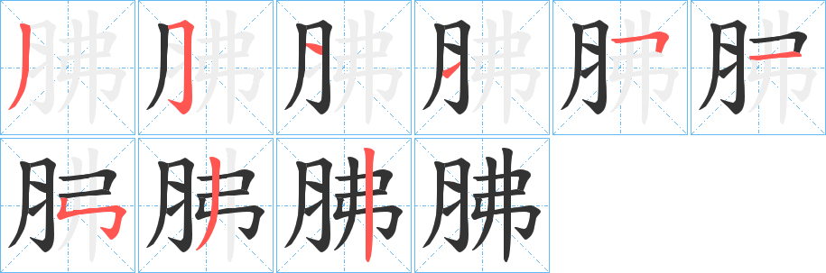 胇字的笔顺分步演示