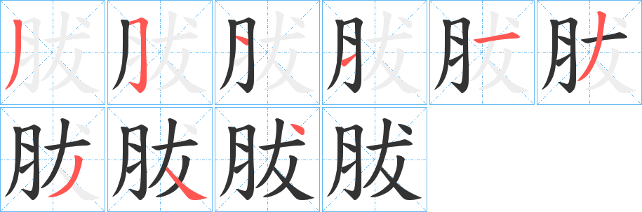 胈字的笔顺分步演示