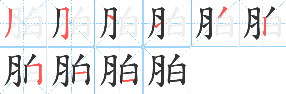 胉字的笔顺分步演示