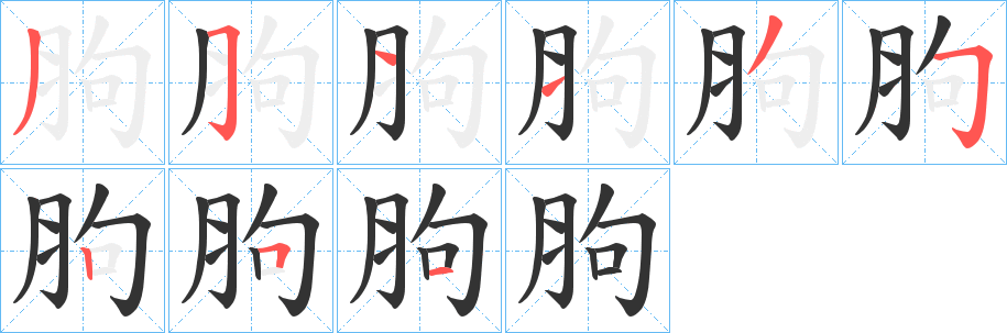 胊字的笔顺分步演示